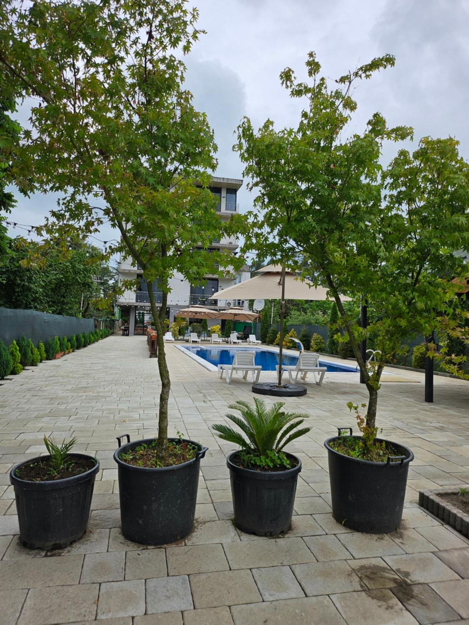 Green Terrace Kobuleti Zewnętrze zdjęcie